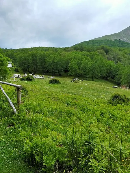 450px-lago laudemio-basilicata