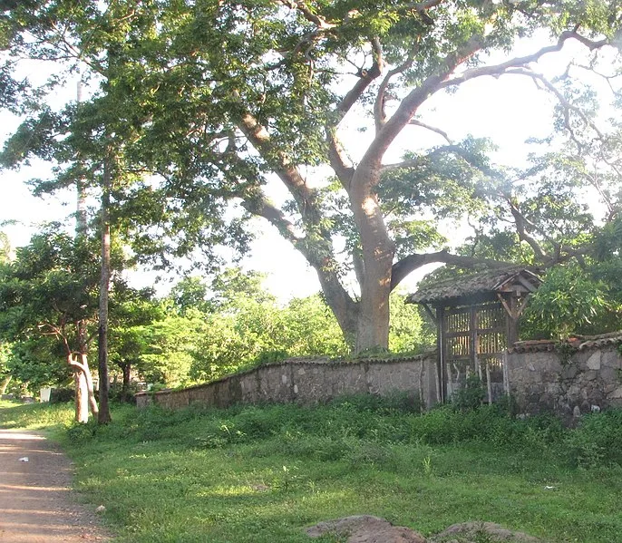 686px-puerta de la antigua hacienda san juan buena vista. - panoramio