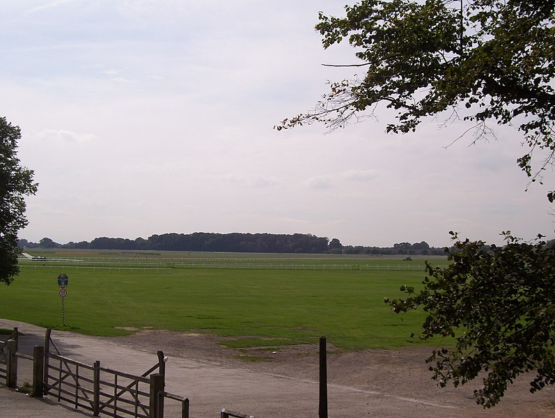797px-the knavesmire - geograph.org.uk - 3643780