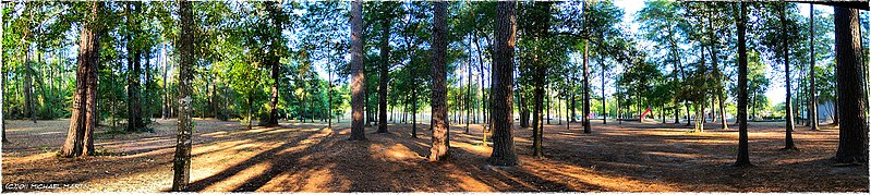 799px-telge park - flickr - pinemikey