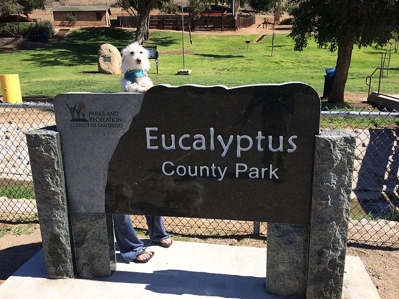 800px-2018-02-20 eucalyptus park la mesa 2241