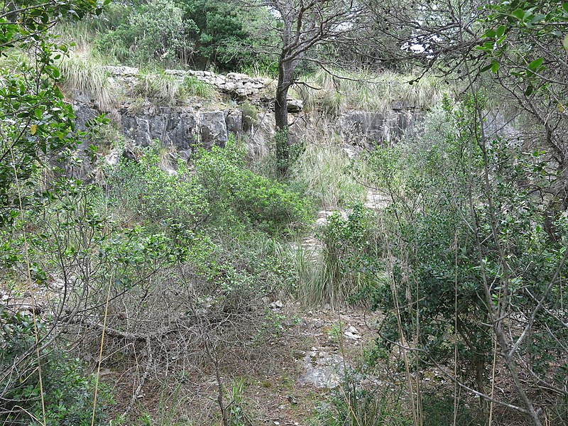 800px-abandoned quarries on palmaria island %28liguria%2c italy%29
