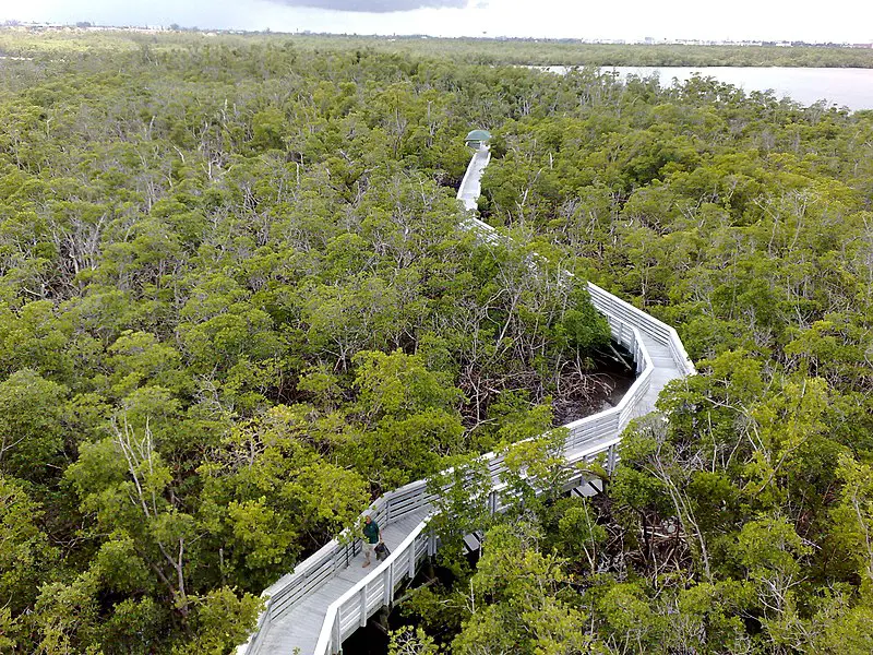 800px-anne kolb nature center observation tower boardwalk view - panoramio