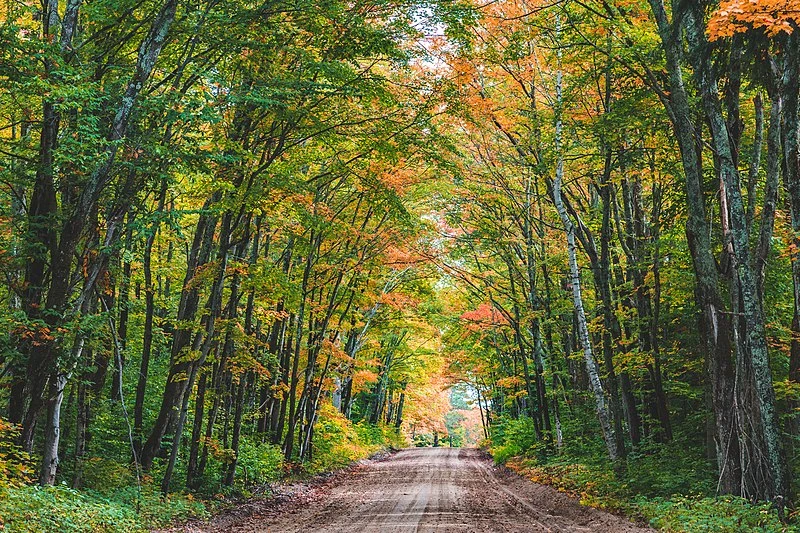 800px-autumn dirt road - hiawatha national forest%2c michigan %2830354315253%29