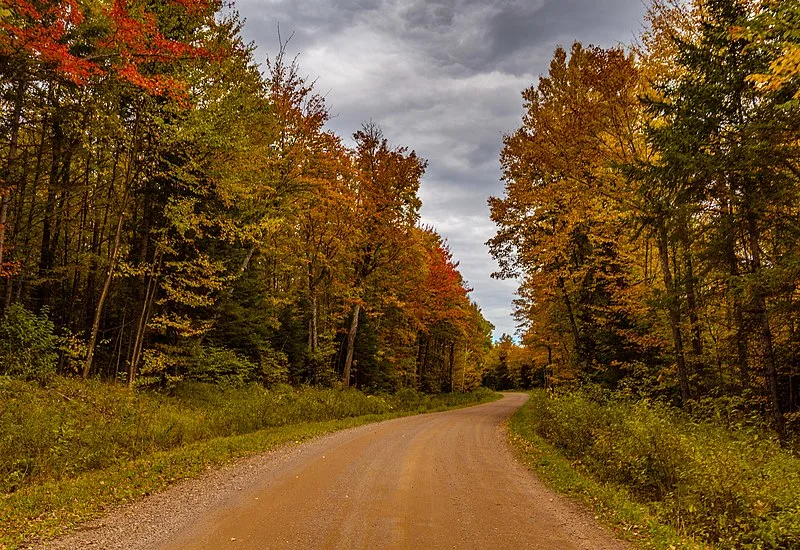 800px-autumn on ottawa national forest road trip - michigan upper peninsula fall colors %2829423477943%29
