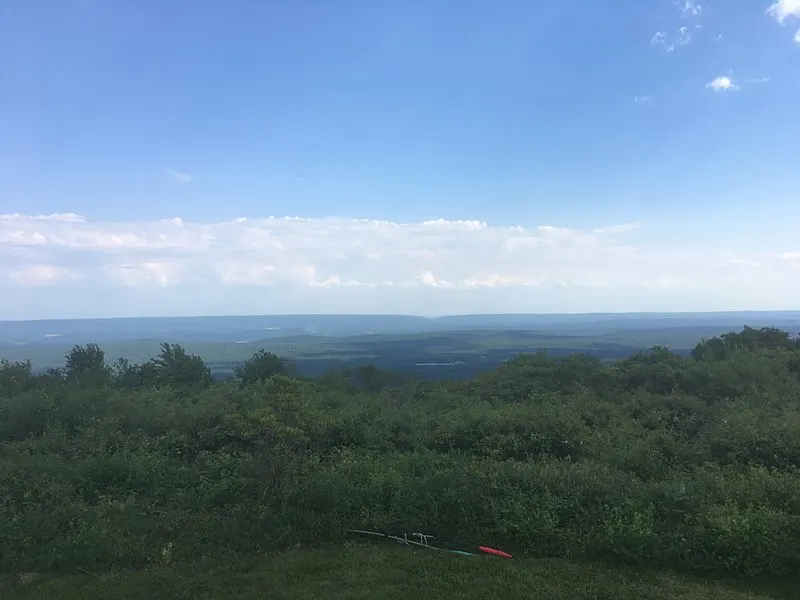 800px-big pocono state park view south from camelback mountain