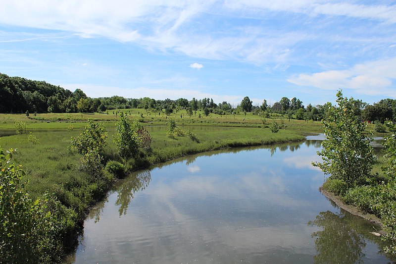 800px-bucolic vista%2c mary beth doyle park%2c ann arbor%2c michigan