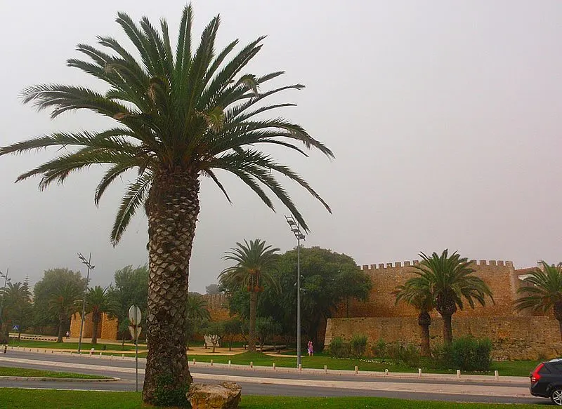 800px-castle and the city walls in lagos%2c algarve%2c portugal