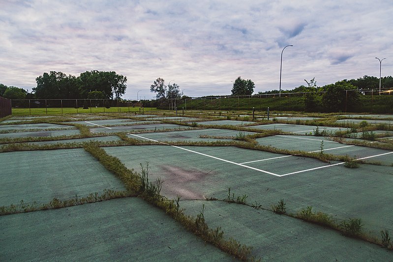 800px-centennial park tennis court - overgrown abandoned - brooklyn center%2c minnesota %2834754540371%29