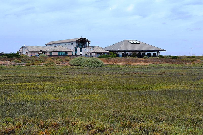 800px-chula vista nature center on the sweetwater marsh unit of the san diego bay nwr %286584496523%29