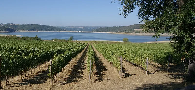 800px-corbara-lago di corbara-18