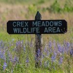 800px Crex Meadows Wildlife Area Sign Wisconsin 283424786735429