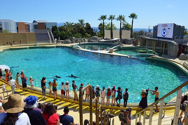 800px-dolphin show%2c marineland antibes