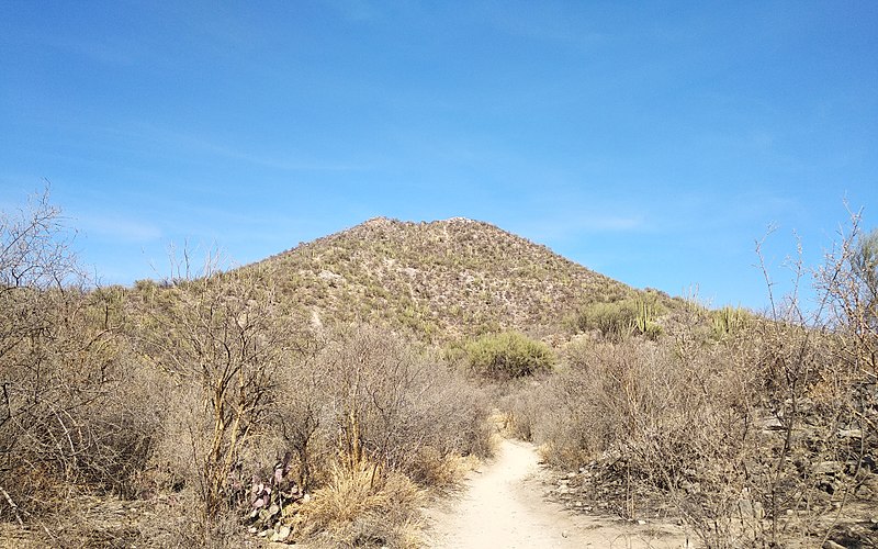 800px-el bachoco trail
