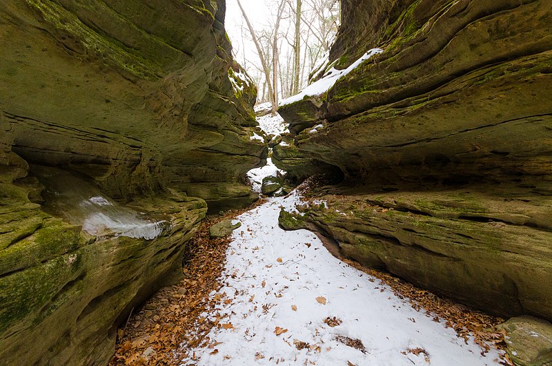 800px-fern dell gorge