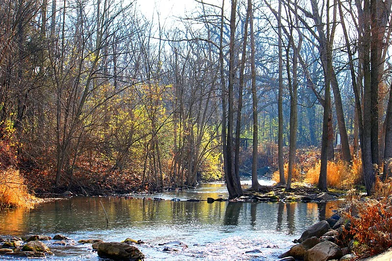 800px-fleming creek%2c parker mill county park%2c superior township%2c michigan - panoramio