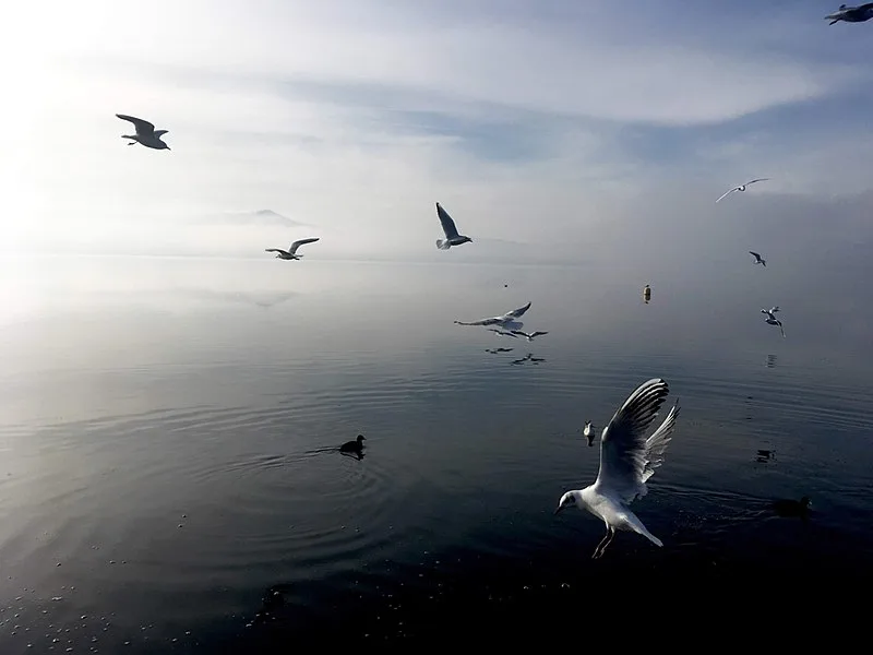 800px-flying over lago di bertignano