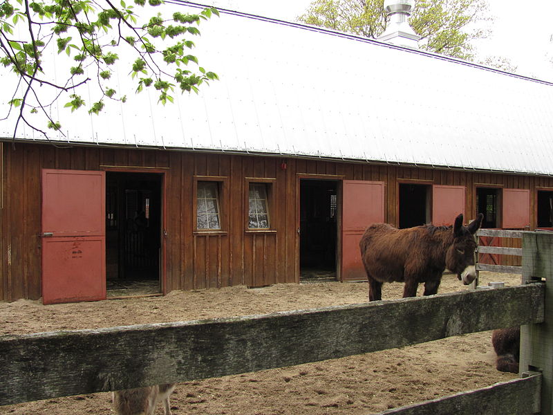 800px-franklin farm%2c franklin park zoo%2c dorchester ma