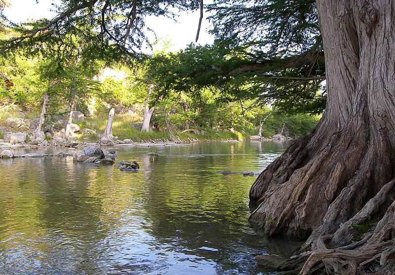 800px-guadalupe river state park