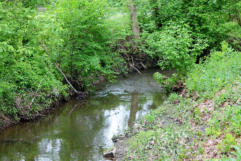 800px-kinney run in bloomsburg