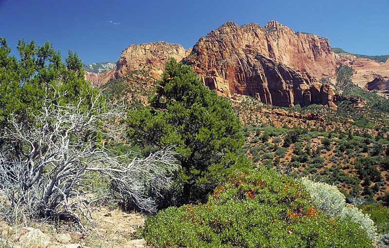 800px-kolob canyons part of zion national park