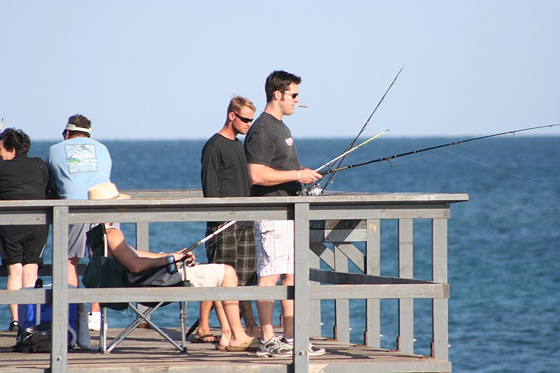 800px-lauderdale by the sea florida fishing pier 06