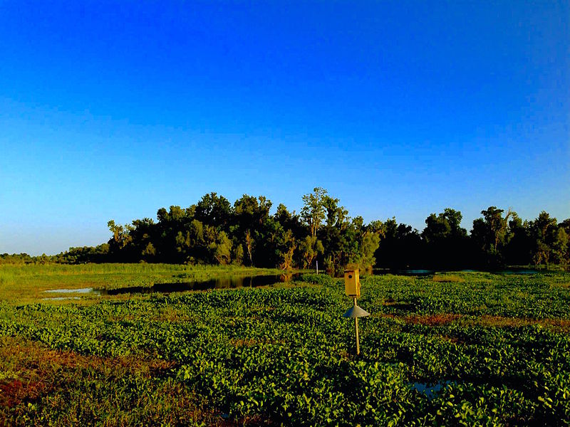 800px-mandalay-national-wildlife-refuge-2