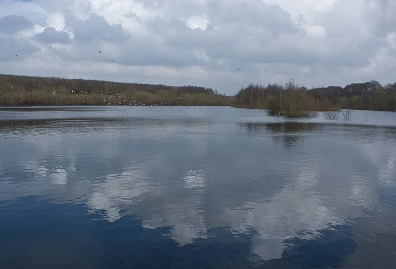 800px-moore nature reserve - geograph.org.uk - 3409164