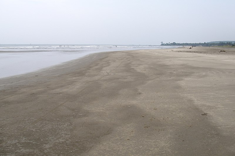 800px-morjim beach%2c goa%2c india%2c vast spaces