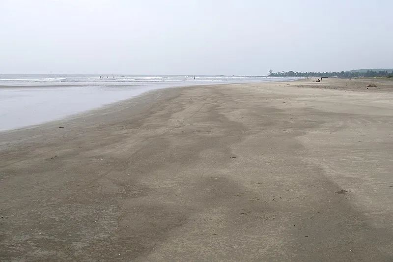 800px-morjim beach%2c goa%2c india%2c vast spaces