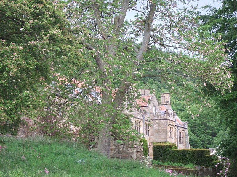 800px-mount grace priory - the manor house from the gardens - geograph.org.uk - 2418204