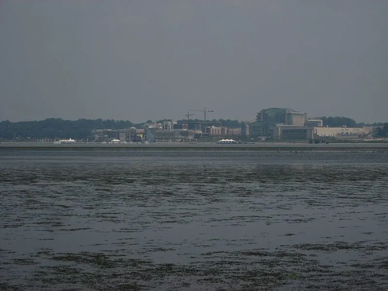 800px-national harbor%2c maryland as seen from george washington memorial parkway%2c virginia %282847876168%29