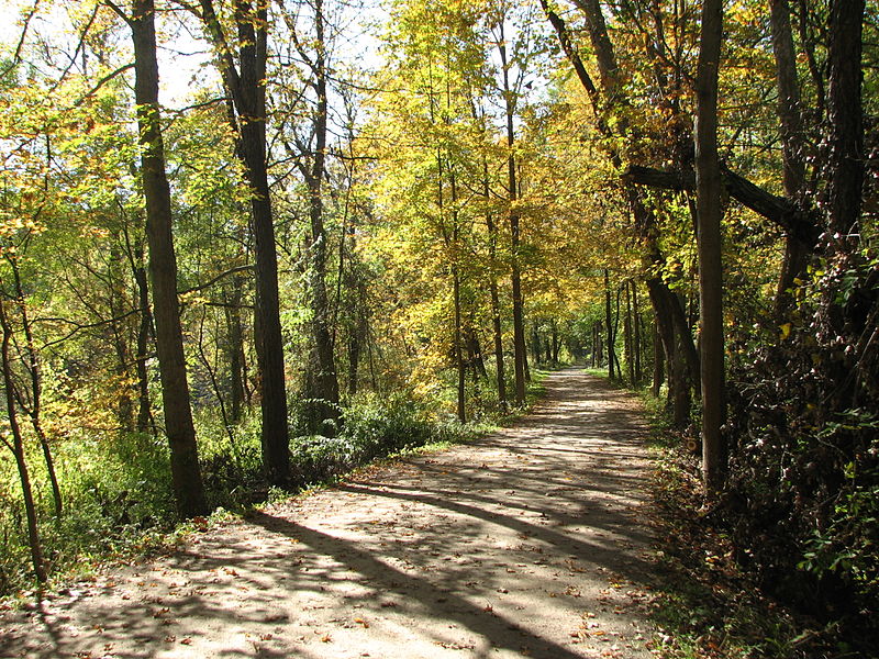800px-ohio and erie canal towpath trail section in october