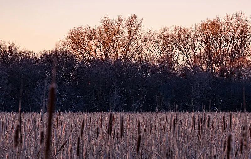 800px-palmer lake park %28shingle creek%29%2c brooklyn center%2c minnesota %2824014416862%29