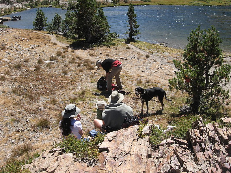 800px-picnic at shell lake just north of bennettville - tioga pass - panoramio