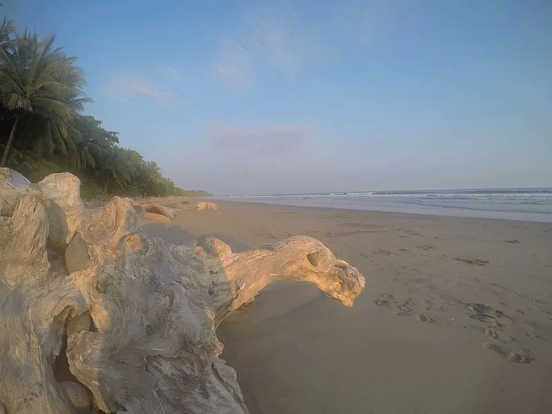 800px-playa grande%2c montezuma%2c costa rica