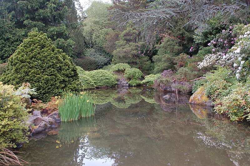 800px-pond at kubota garden in seattle washington