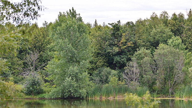 800px-preservation park - guelph%2c ontario