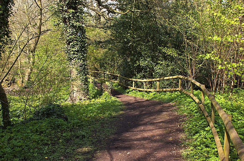 800px-rixton clay pits nature reserve - geograph.org.uk - 2896712