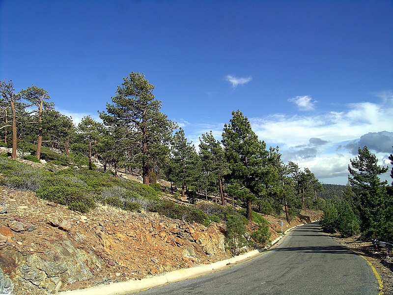 800px-road to the observatory-sierra sanpedromartir-bajacalifornia-mexico