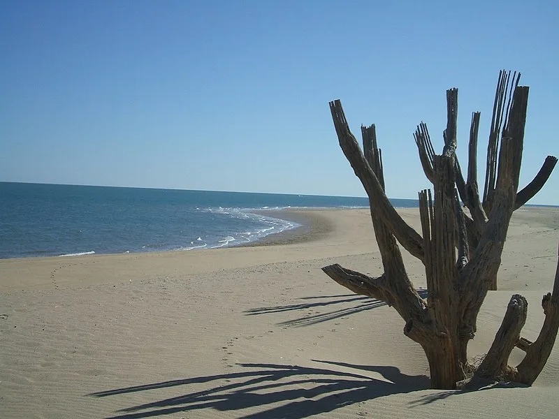 800px-san felipe%2c baja california %2820879526259%29