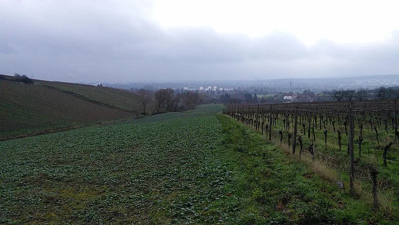 800px-schierstein%2c wiesbaden%2c germany. rheinsteig walking trail between schierstein and frauenstein. looking south over the rhine valley. - panoramio