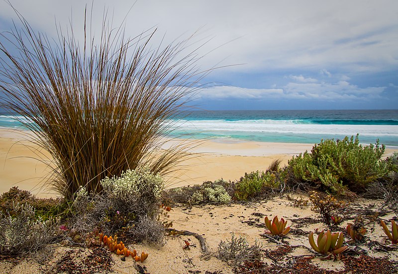 800px-seaside garden - curtar rocks port lincoln national park - south australia