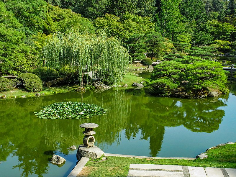 800px-seattle japanese garden washington9