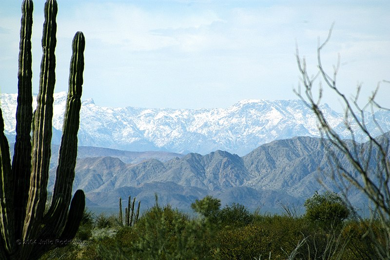 800px-sierra de san pedro m%c3%a1rtir%2c baja california- san pedro m%c3%a1rtir moutain range %2820497002643%29