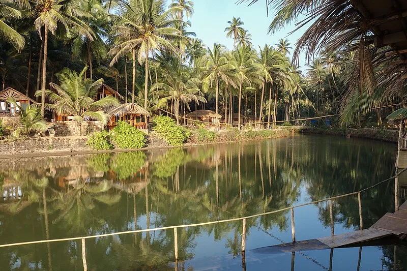 800px-stream lagoon dwarka cola goa jan19 dsc06044