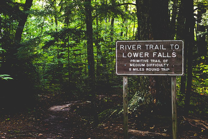 800px-tahquamenon river trail %2829879579693%29