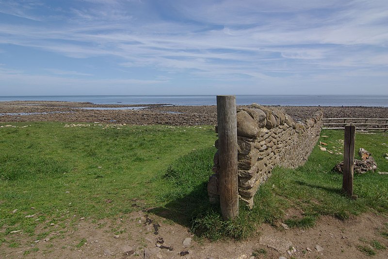 800px-the east shore%2c holy island - geograph.org.uk - 1904056