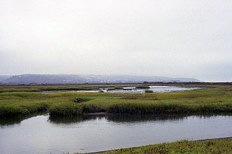 800px-tijuana river estuary