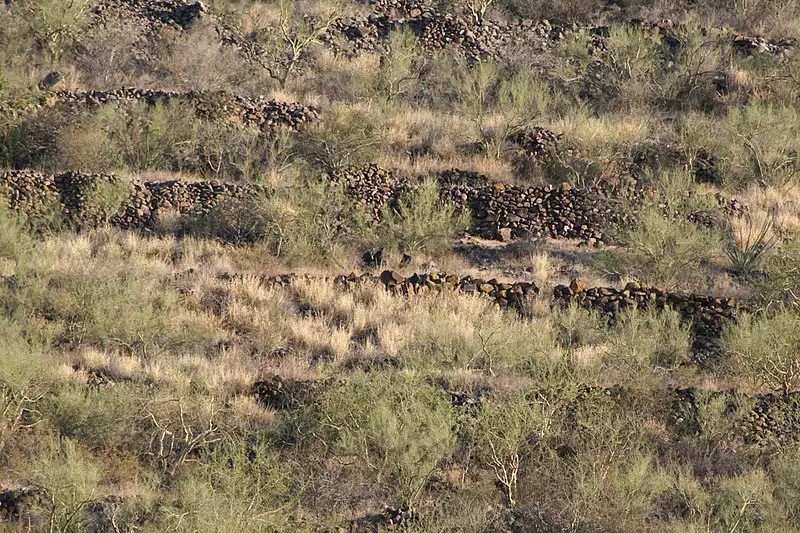800px-trincheras at cerro de trincheras